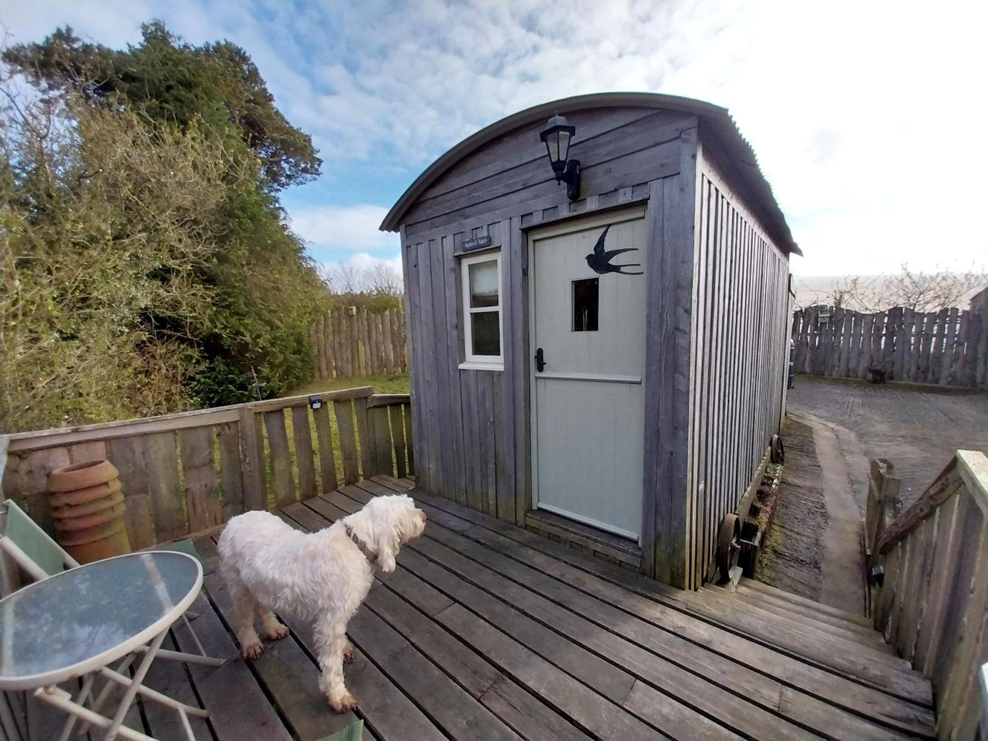 Meadowbeck - Shepherd Huts Fylingdales 외부 사진