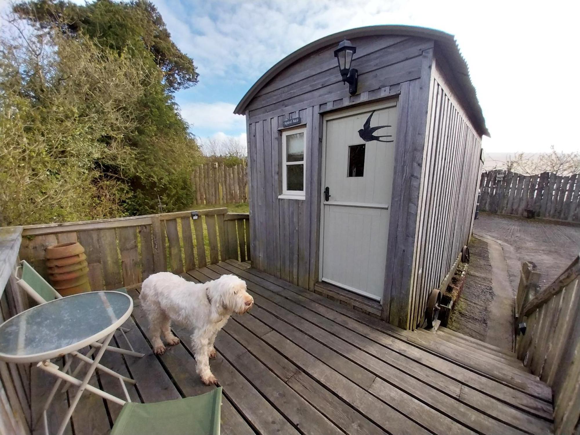 Meadowbeck - Shepherd Huts Fylingdales 외부 사진